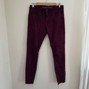 Articles Of Society Women's Skinny Jeans in Burgundy